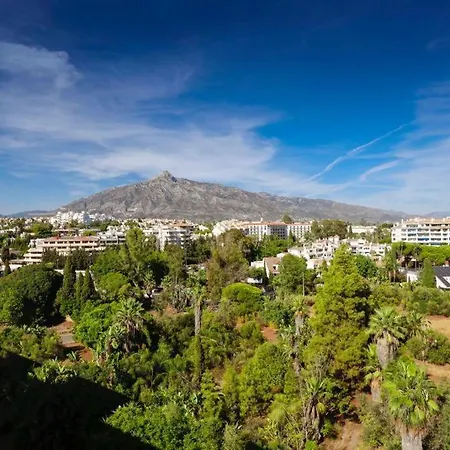 Luxurious Penthouse Apartment